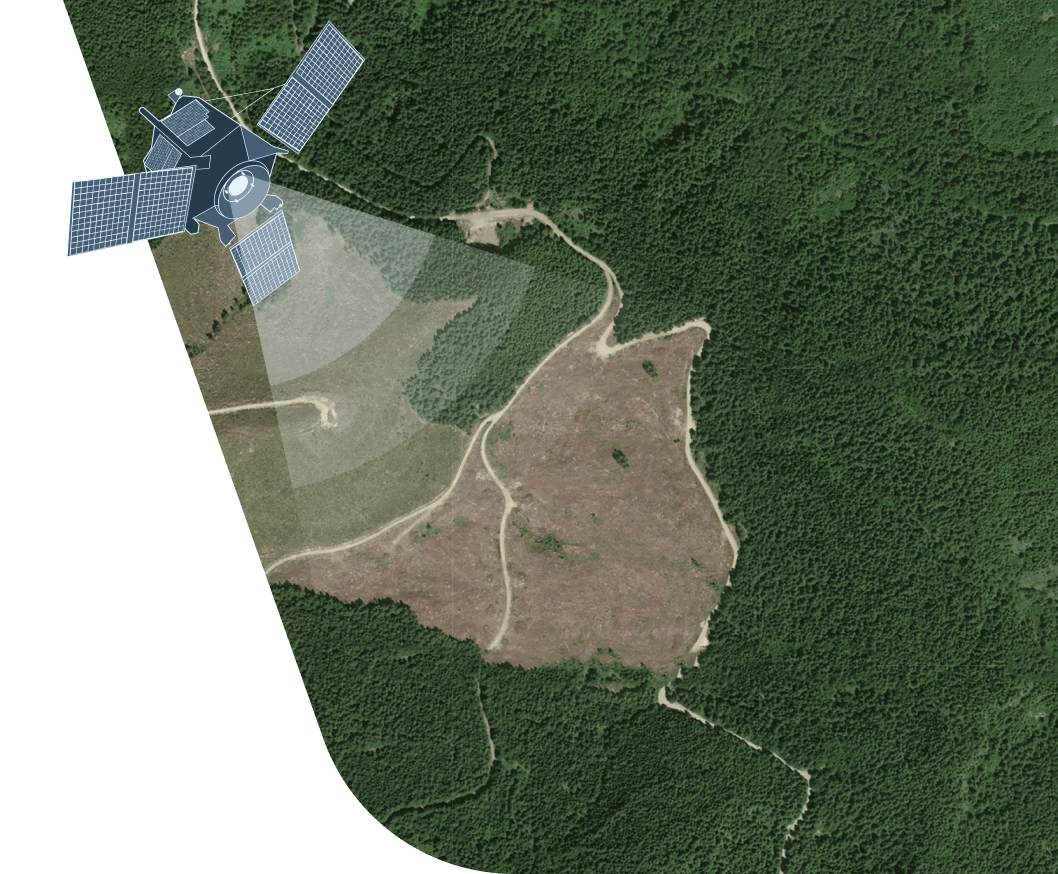 monitoreo satelital de la deforestación