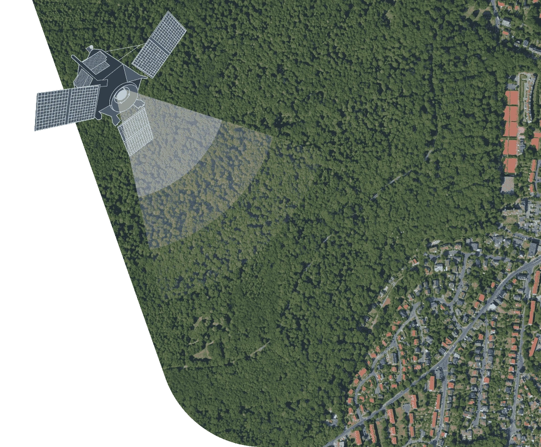 sistema satelital de monitoreo forestal