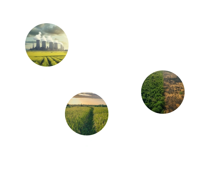 Boost Carbon Credit Returns with Faster Project Monitoring and Verification