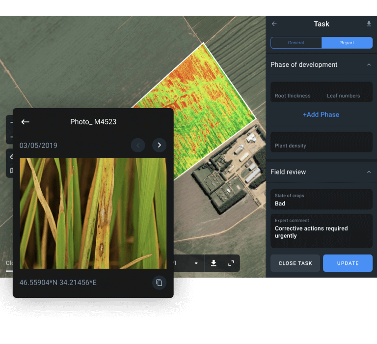 informe de observación de campo