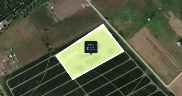 NDRE de un campo de piña