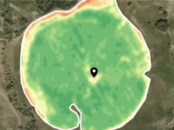 vegetación del campo el 24 de agosto