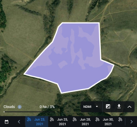 valores del índice NDMI 2021