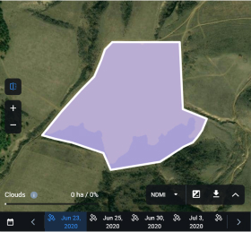 valores del índice NDMI 2020